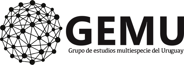 Antropología más que humana